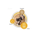 Dog Selected Grain Free High Energy Support Adult