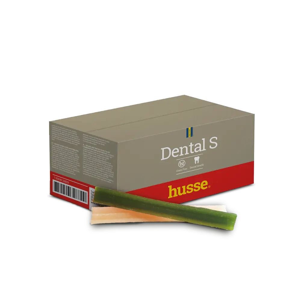 Dental S (20 pcs de 12 cm)    
