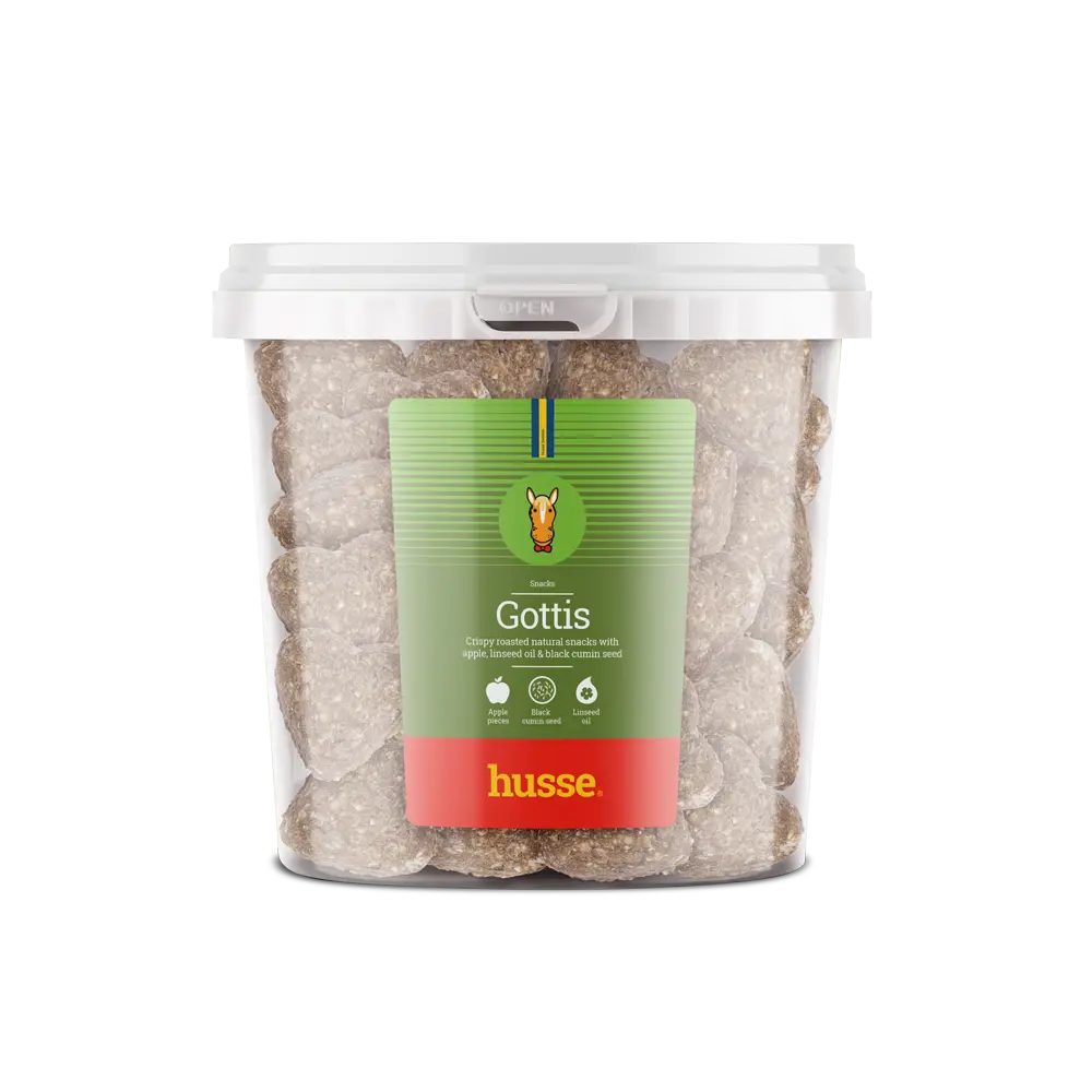 [14026] Gottis Snack Equin Pomme