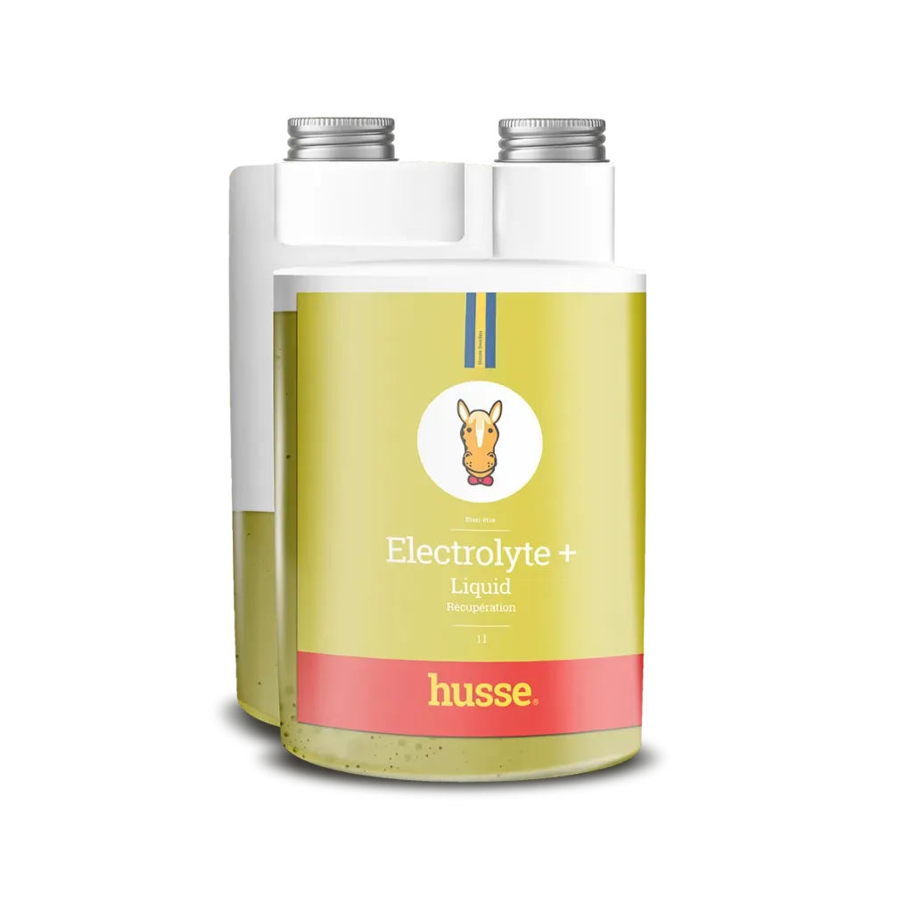 [30022] Electrolyte +  Liquide 1 Litre
