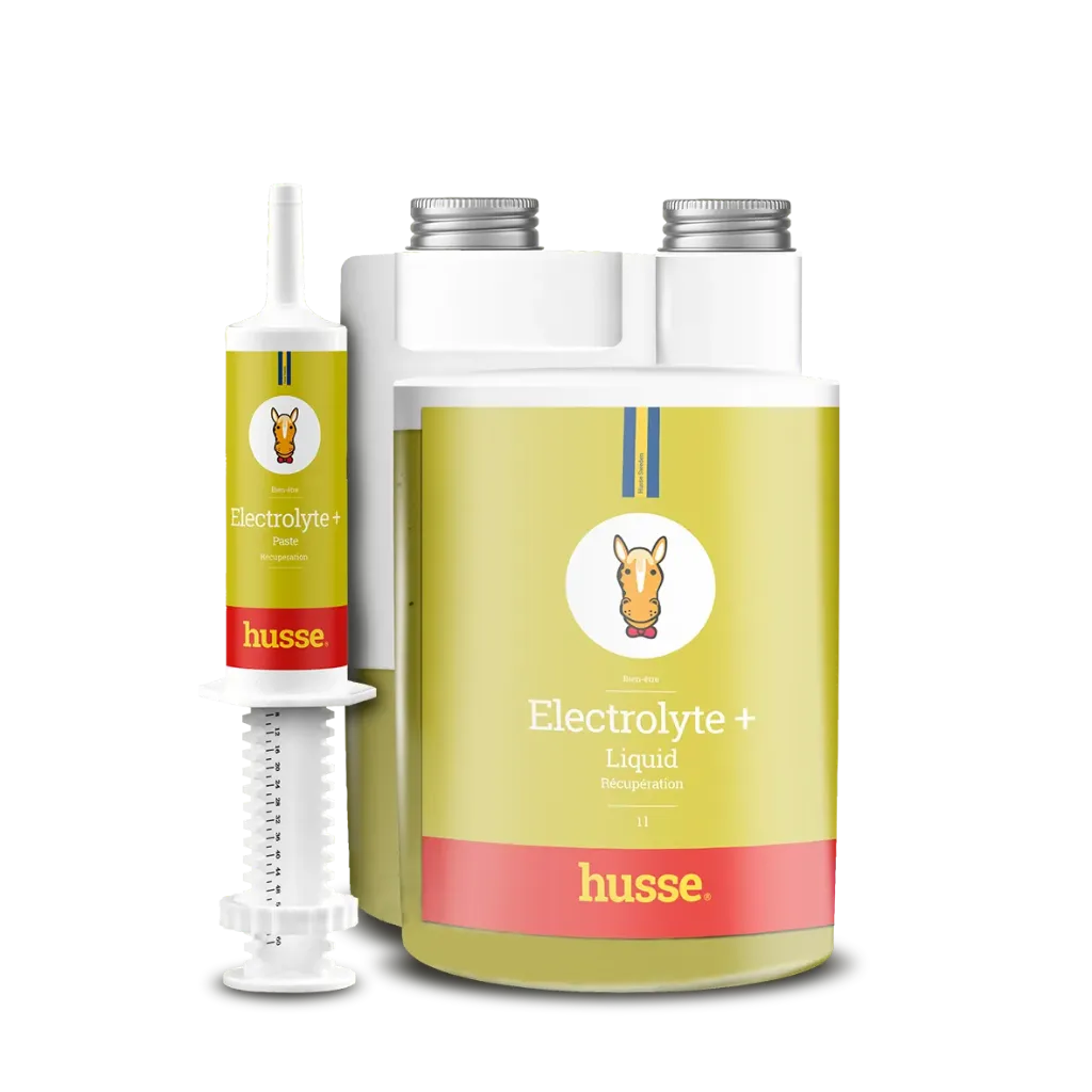 [50148] Electrolyte +  en Pâte 30ml Booster