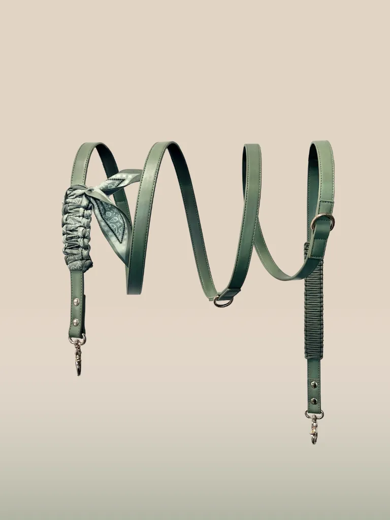 Laisse-Bandana Lichen - Vert