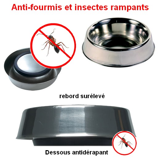 Gamelle Pour Chien En Inox Anti-fourmis
